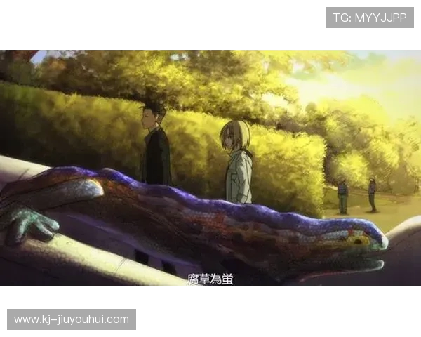 《午夜足球场上的诡异比赛，失踪的球员和永远无法归来的脚步声》